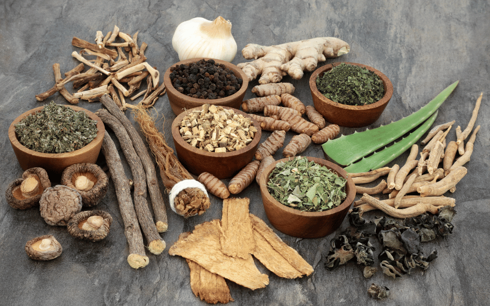 adaptogenic mushrooms and herbs