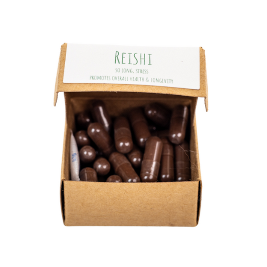Reishi Mushroom Supplement capsules in box
