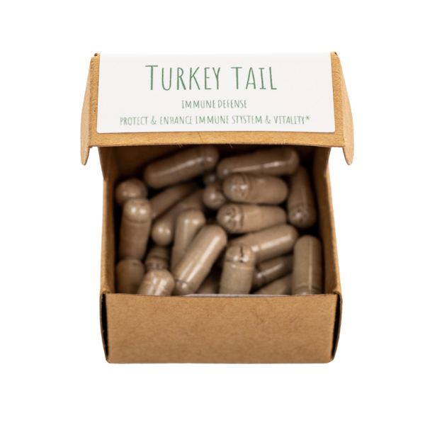 turkey tail mushroom supplement in capsules inside box